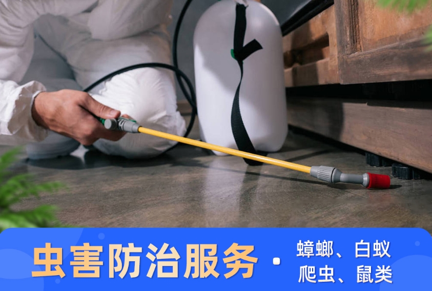 “四害”防治｜蟑螂會傳播哪些疾?。? /></div>
        <div   id=